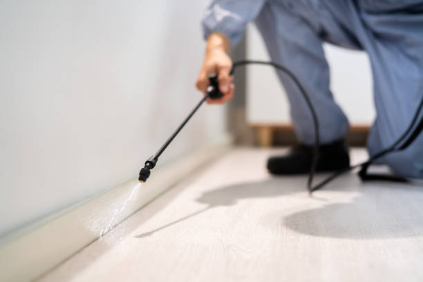 Licensed Termite Control service in Mangonia Park, FL - Nex Pest Control