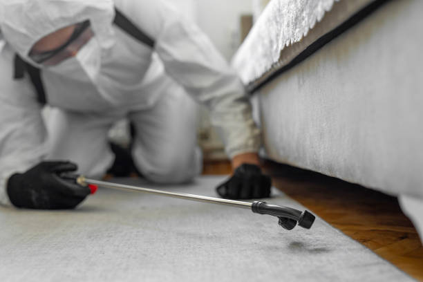 Professional Termite Control technician working in Mangonia Park, FL