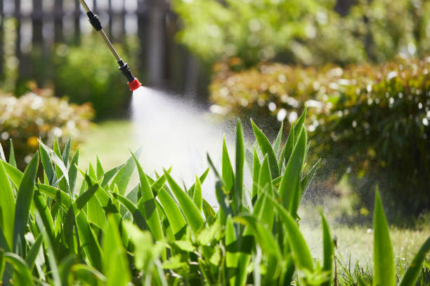 24/7 Emergency Termite Control experts in Mangonia Park, FL