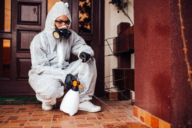 Reliable Termite Control contractor in Mangonia Park, FL by Nex Pest Control