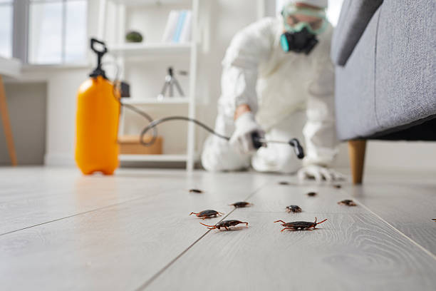 Trusted Termite Control service in Mangonia Park, FL - Nex Pest Control