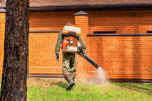 Trusted Fumigation Services service in Mangonia Park, FL - Nex Pest Control